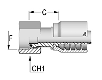 BSPP Female 60T Cone with O-Ring