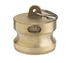 Brass Part DP Dust Plugs