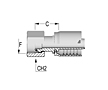 BSP O-Ring Female Swivel 60T Cone