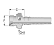 BSP Male Parallel 60T Seat Interlock