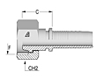 Metric Female French Type (GAZ)