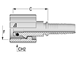 Pressure Wash Female Type K